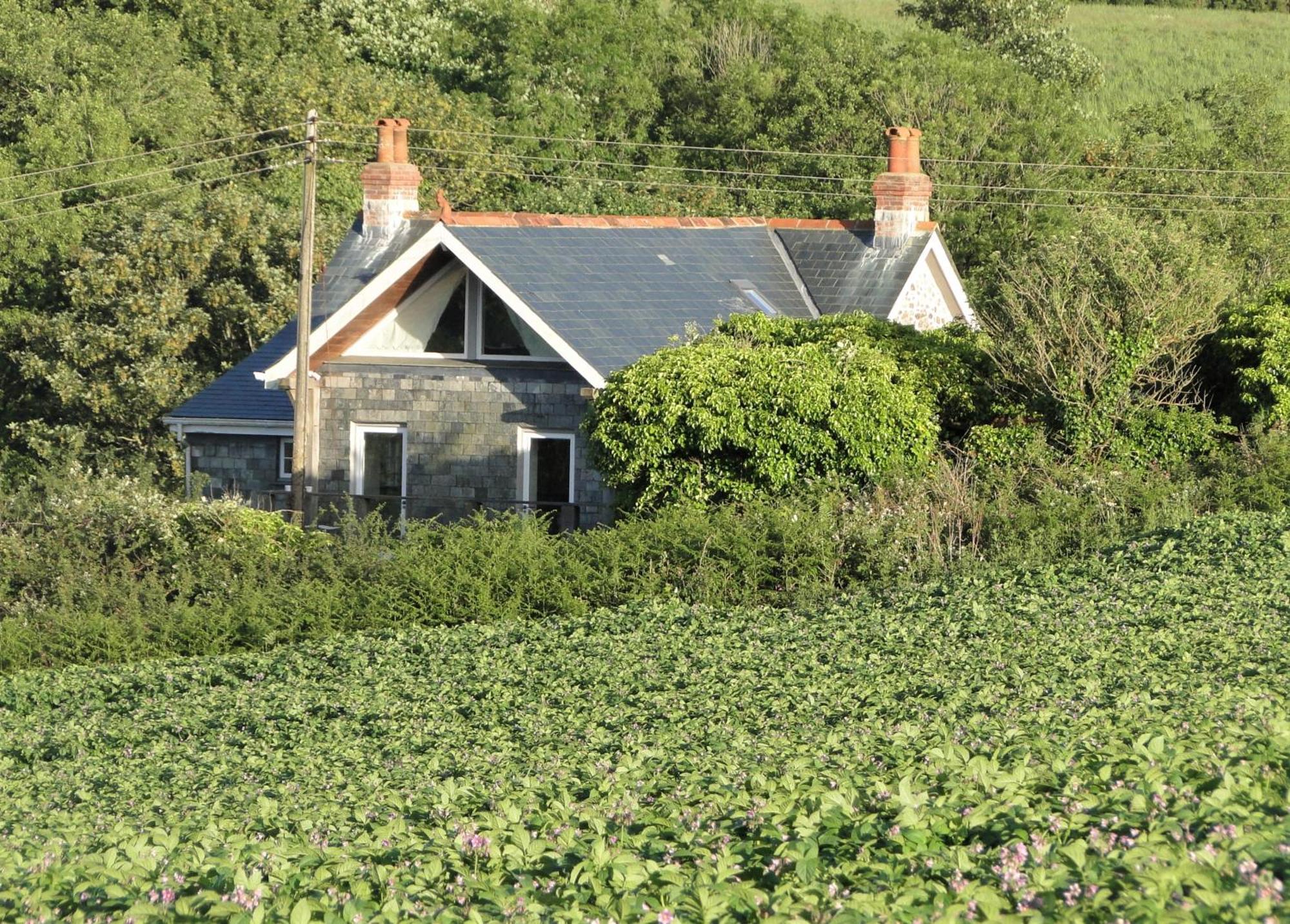 Country house Cober House